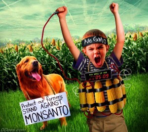 Monsanto GMO seeds