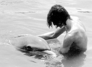 man having sex with dolphin