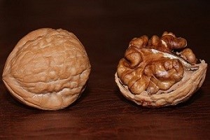 walnut, walnuts