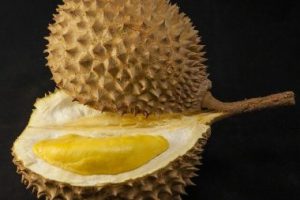 Durian Health Benefits and Nutrition Facts