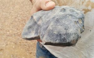 new meteorite found in Australia