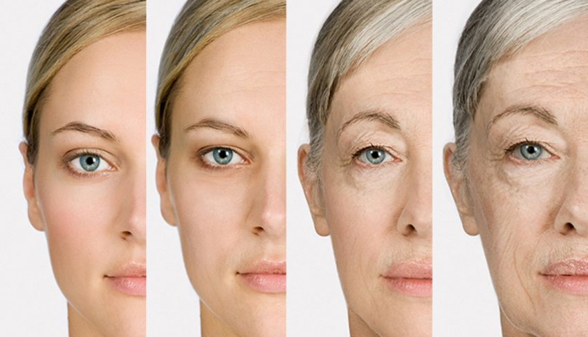 Collagen cream and supplements, the best defense against aging