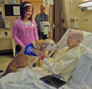 Alternative Cancer Therapy – Pet Therapy