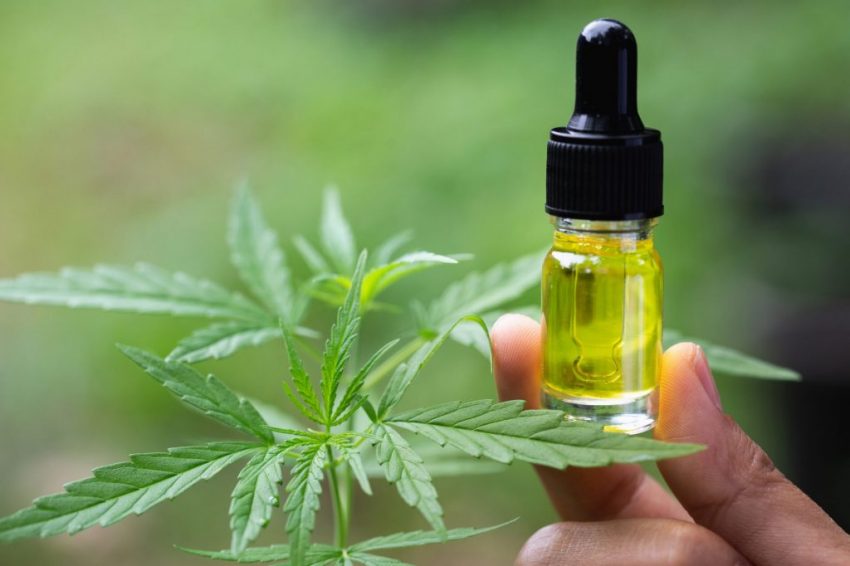 Alternative Cancer Treatment – Marijuana (Cannabis Oil)