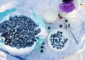 Blueberry health benefits