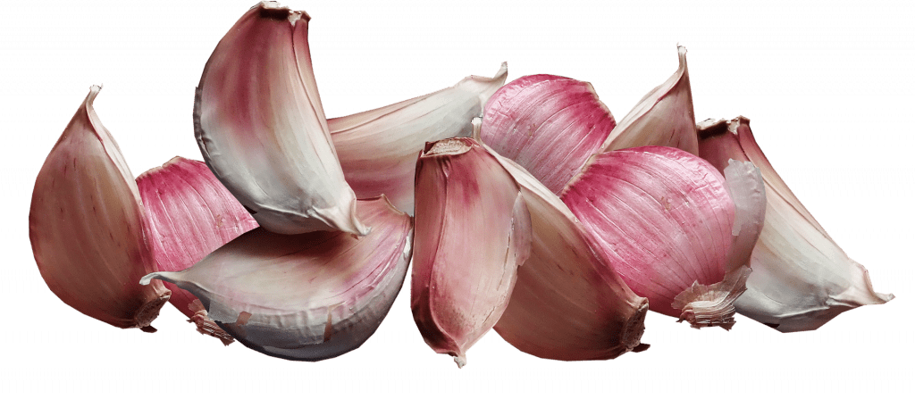 Garlic health Benefits