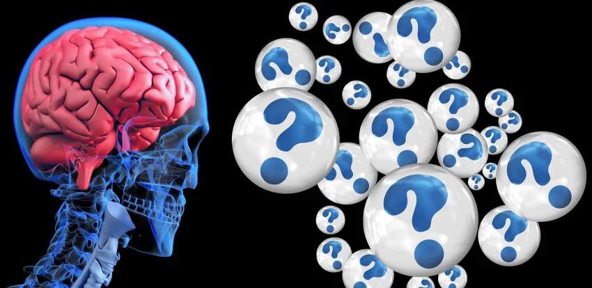 Neuroscience degree