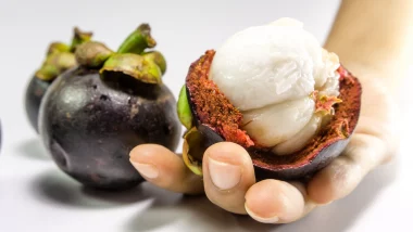 Mangosteen health benefits