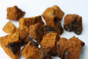 chaga mushroom powder