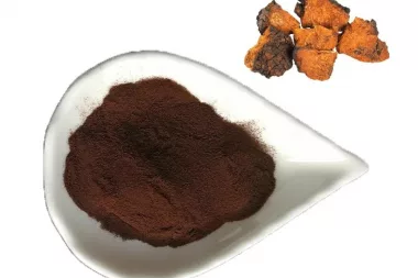 chaga mushroom powder