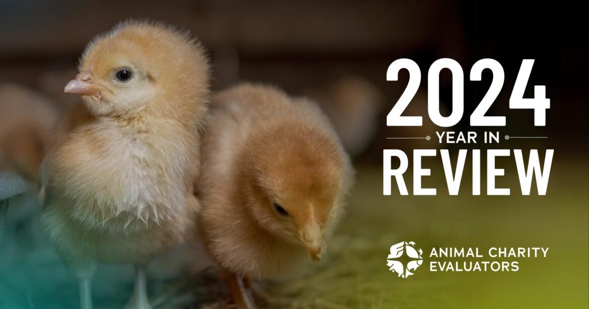 2024 ACE Year In Review