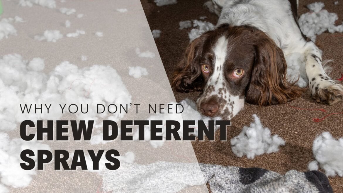 Anti-Chew Sprays For Puppies: Why Professionals Don't Recommend Them.
