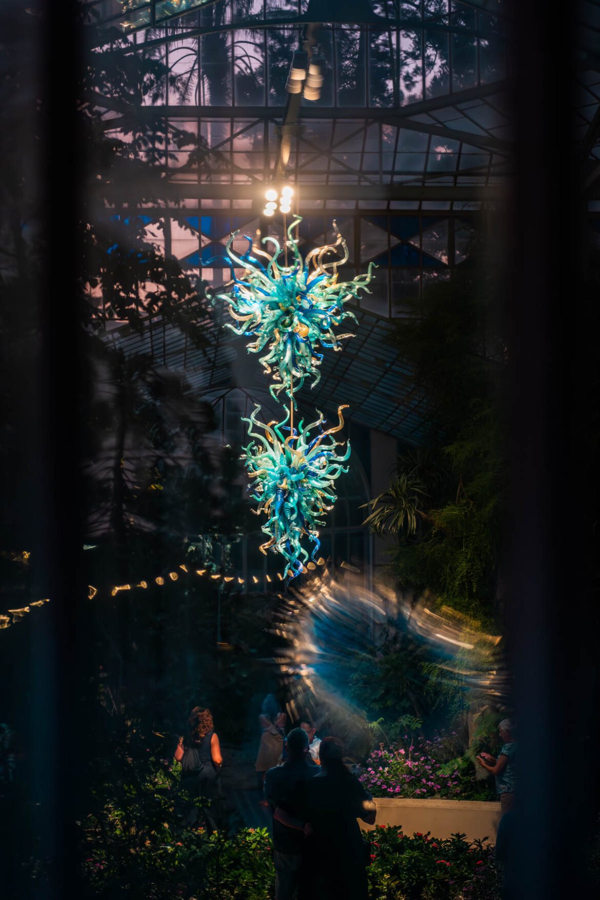 Dale Chihuly In Full Colour and at Night, Adelaide Botanic Gardens