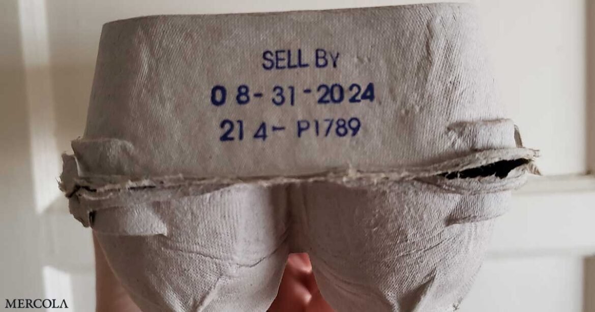 How to Decode Egg Carton Codes