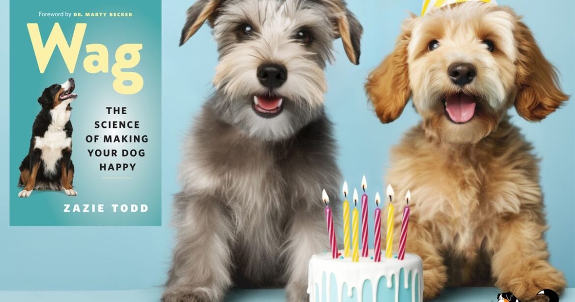 Five Years of Wag, the Must-Read Book for Happy Dogs