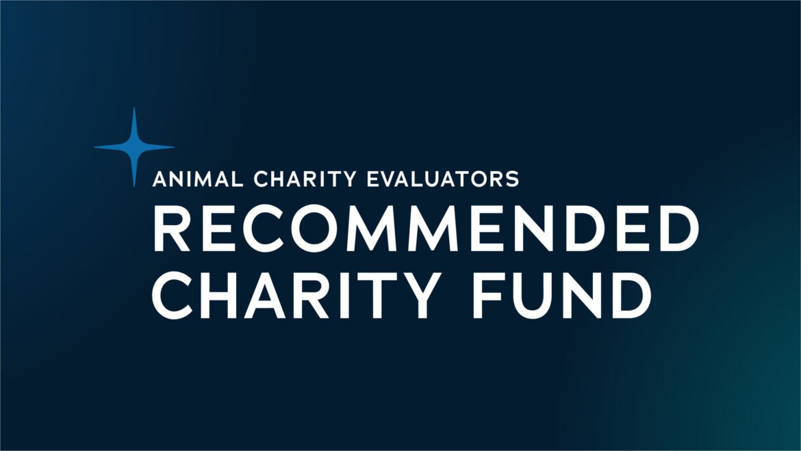 Recommended Charity Fund: February 2025 Update