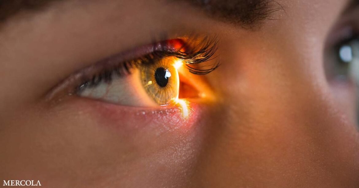 Retinal Scans Help Detect Diabetes and Dementia Early, Study Finds