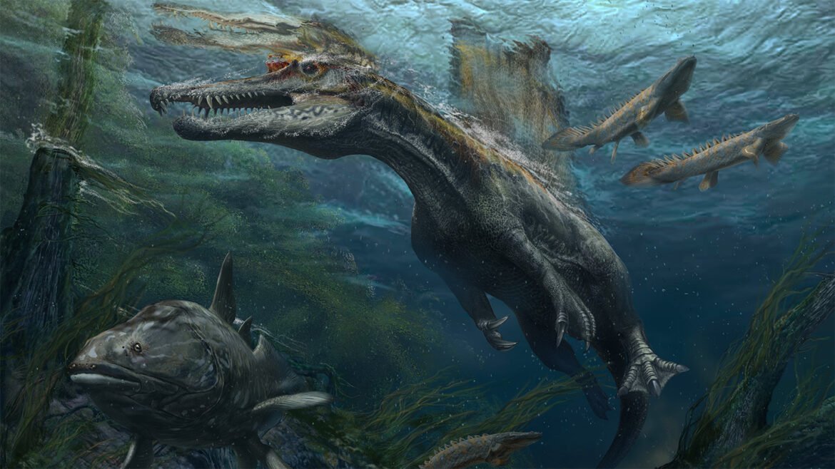 Could Spinosaurus swim? The fierce dinosaur ignites debate