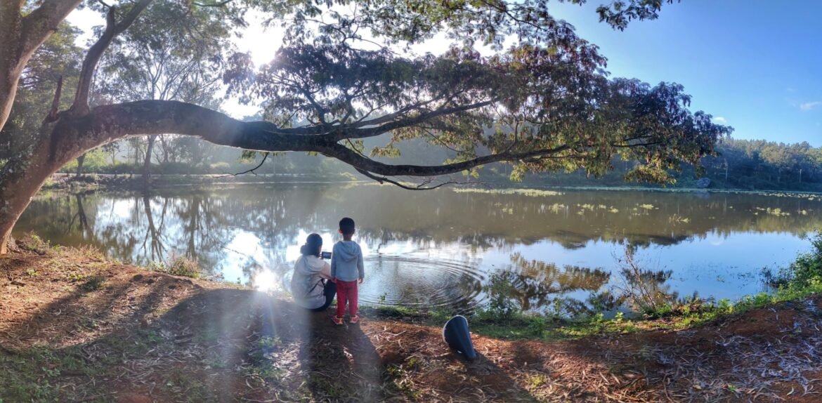 From waste to wonders: My sustainability journey with Cisco's Green Team