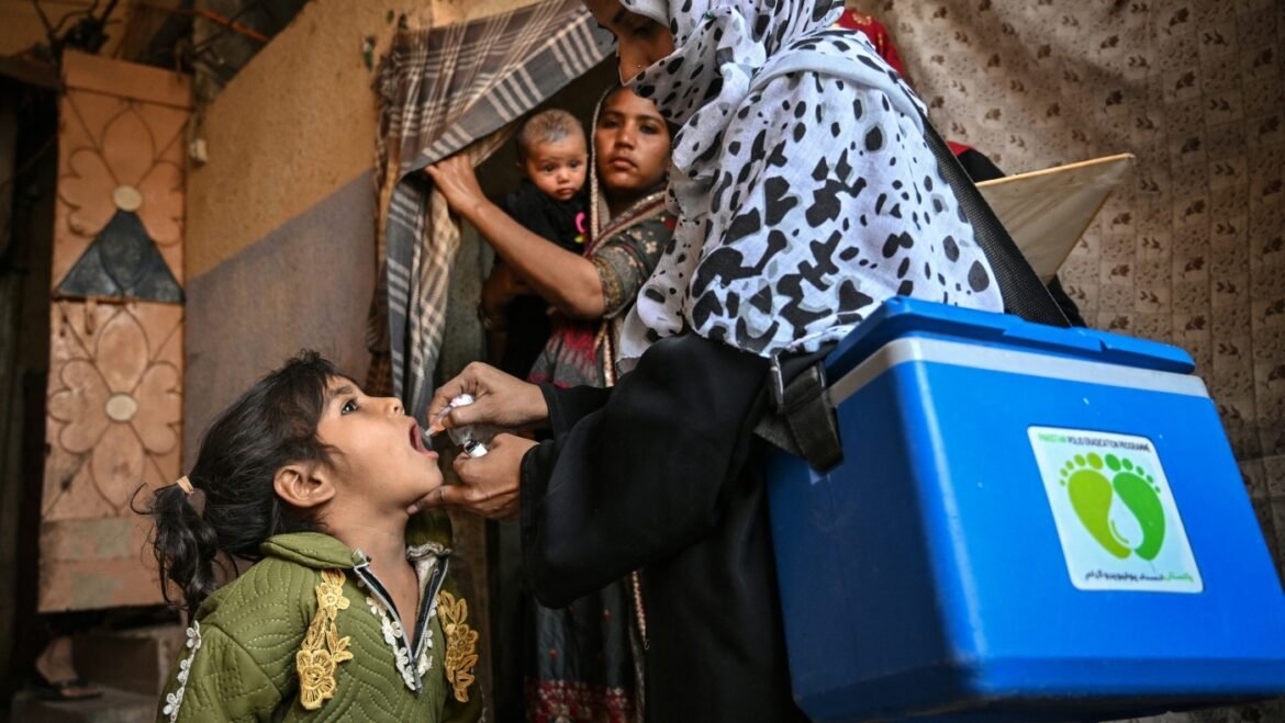 Goats and Soda : NPR