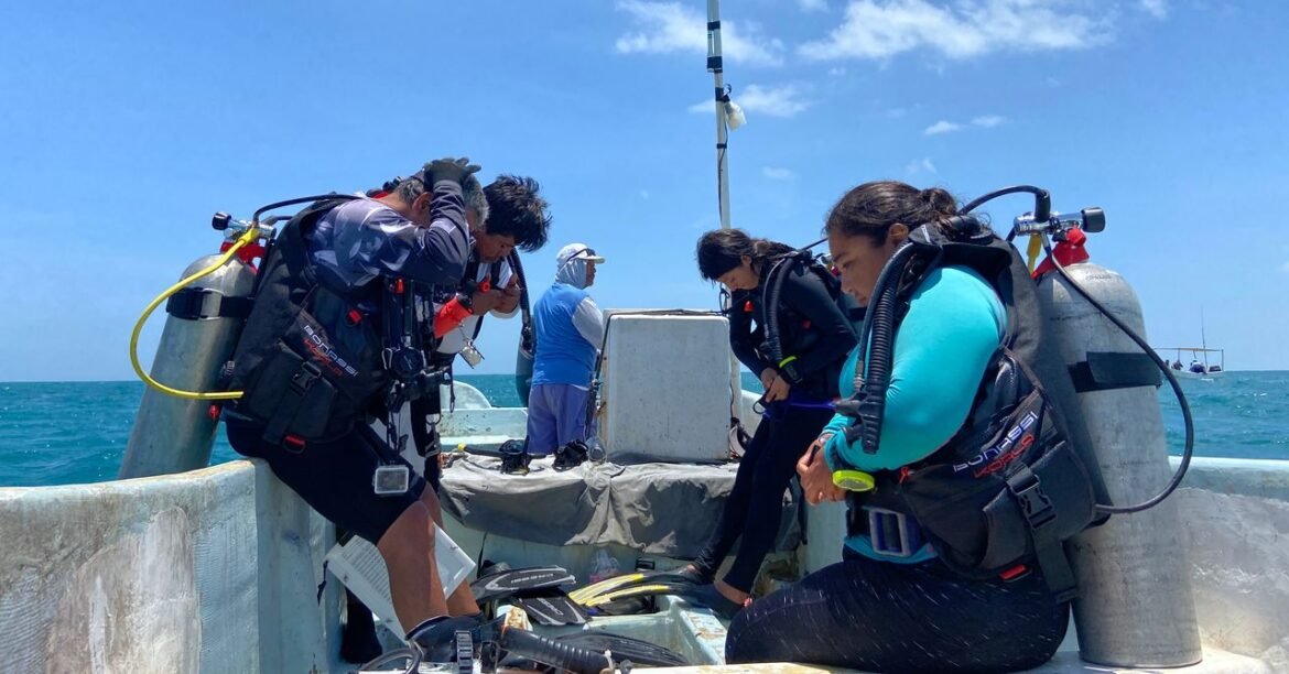 How Mexico’s Fishing Refuges Are Fighting Back Against Poaching