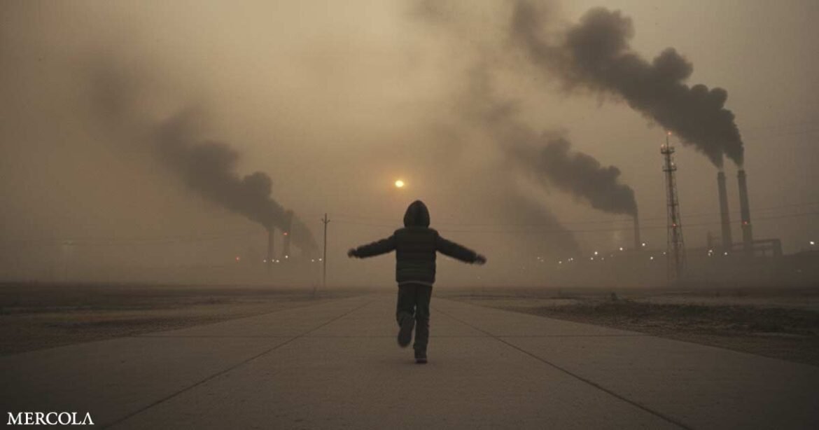 Air Pollution Damages Children's Eyesight Air Pollution Damages Children's Eyesight