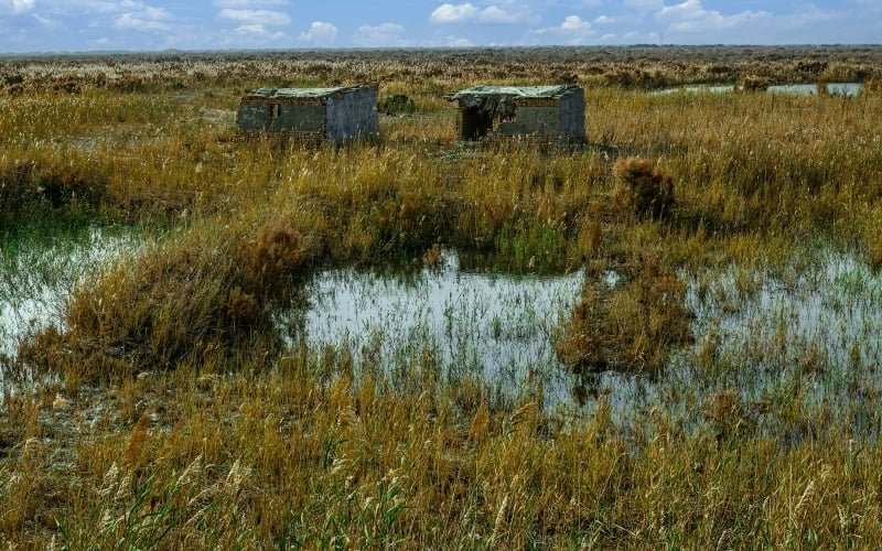 Almost 40% of Nevada Groundwater Wells Are in Decline, Study Almost 40% of Nevada Groundwater Wells Are in Decline, Study Says