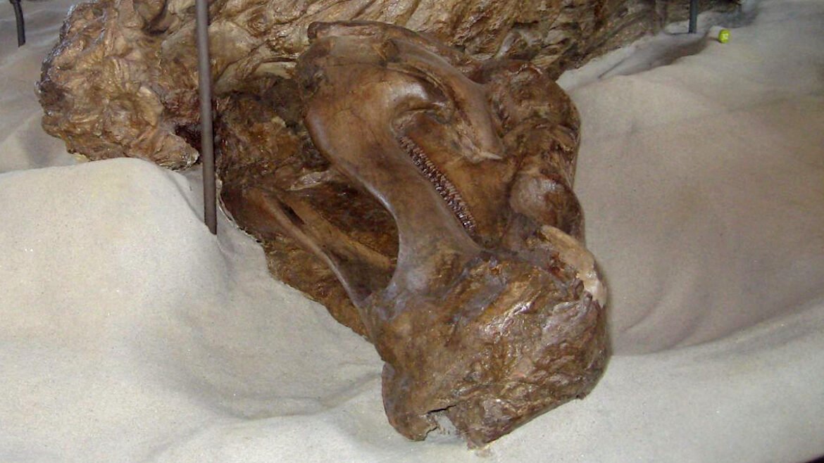 Exceptionally Preserved 'Dinosaur Mummies' Reveal First-Known Reptile Hooves : ScienceAlert