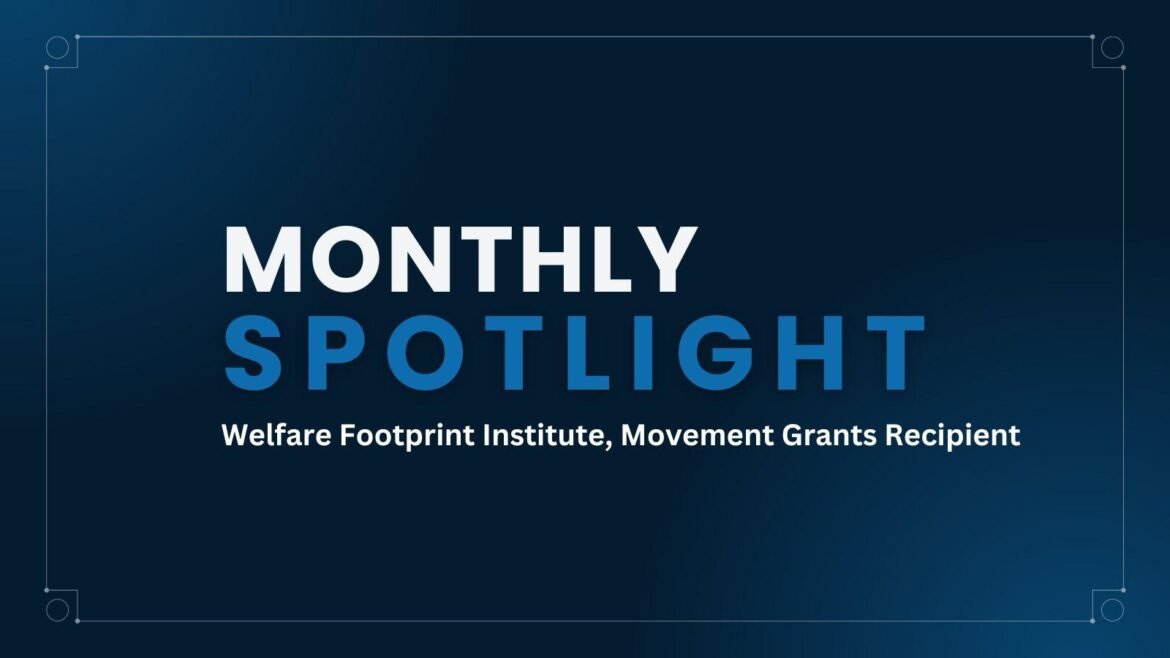 Monthly Spotlight: Welfare Footprint Institute