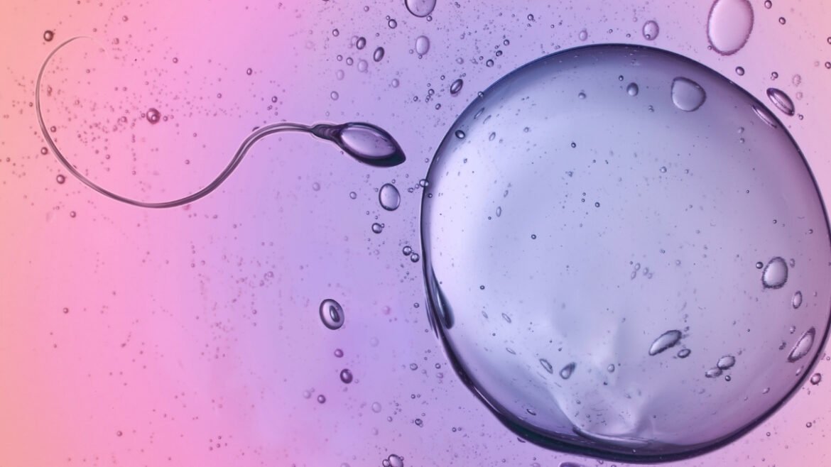 Scientists Caught Sperm Ignoring A Major Law of Physics : ScienceAlert