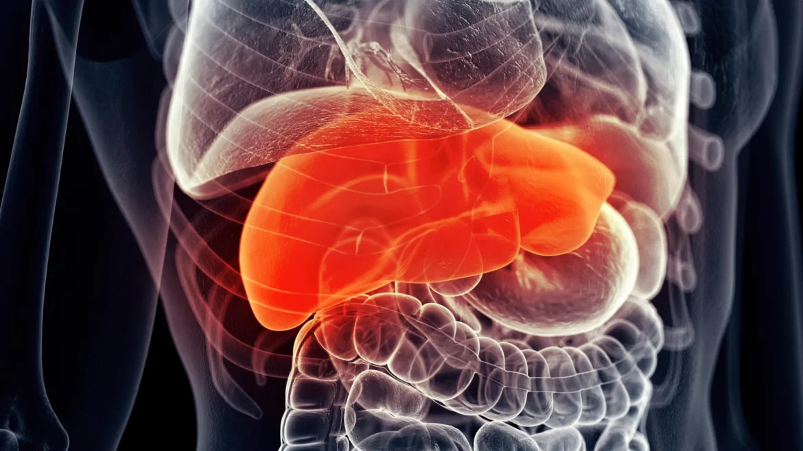 This common liver supplement could boost cancer treatment success