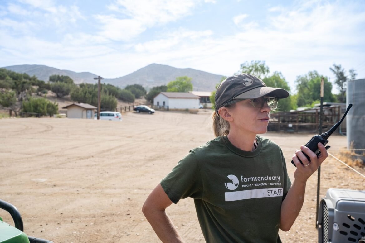 A Morning in the Life of Our California Sanctuary Team