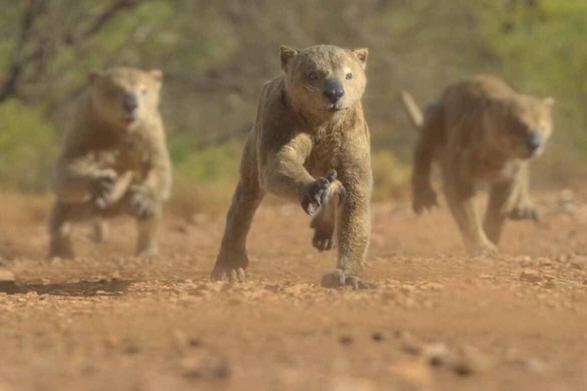 Extinct animals in Prehistoric Planet: Ice Age make it a must-watch