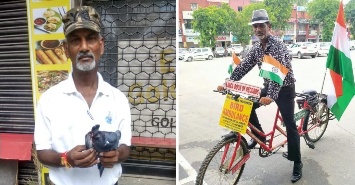 For 12 Years, Chandigarh Man Has Run a Unique 'Bird Ambulance on Wheels'