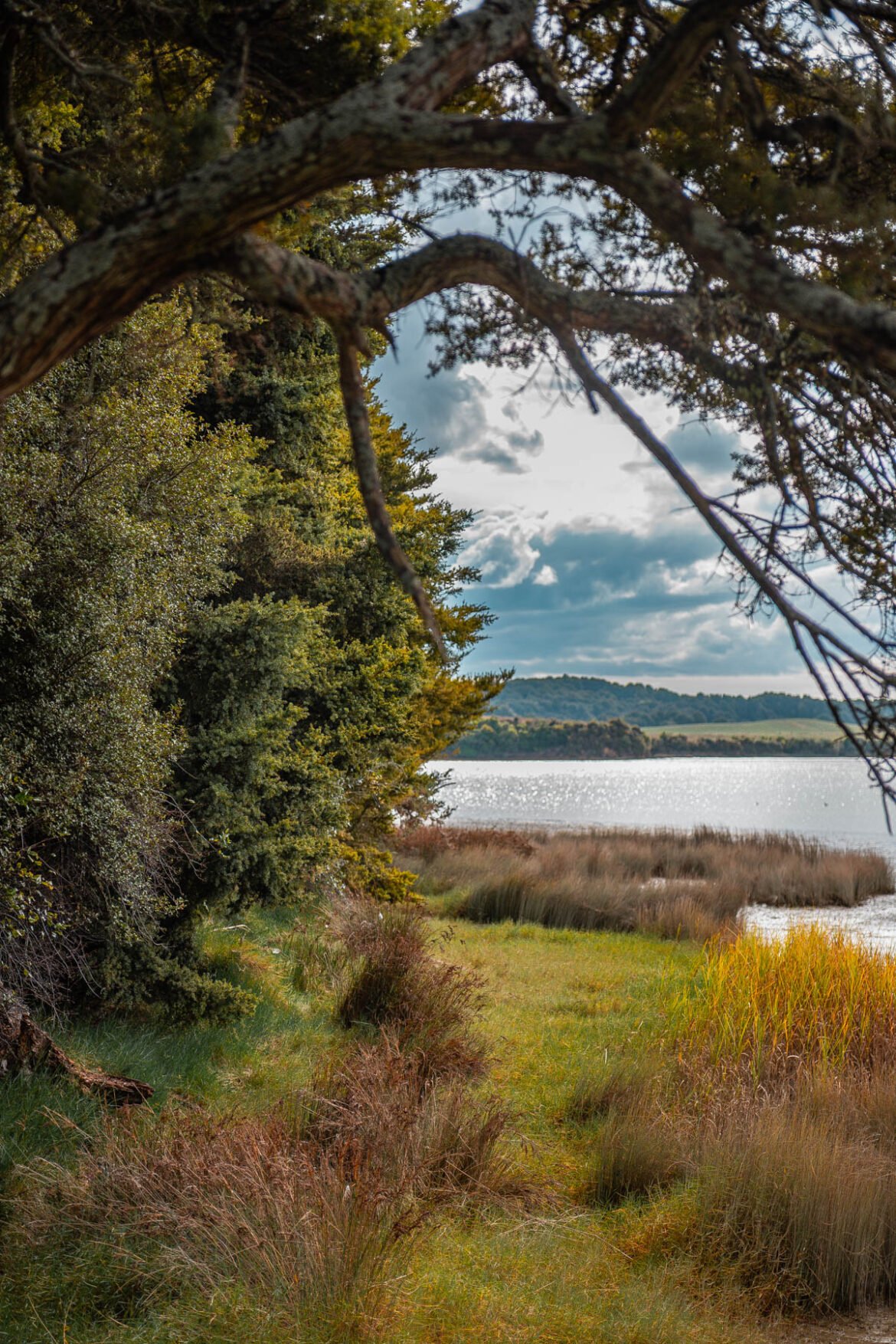 Haroto Bay, Auckland, New Zealand