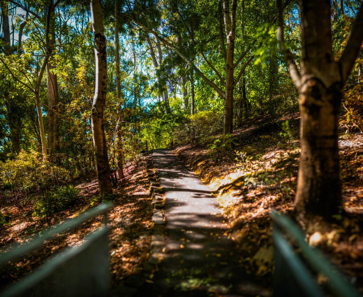 Mount Lofty Botanic Garden - Naina.co