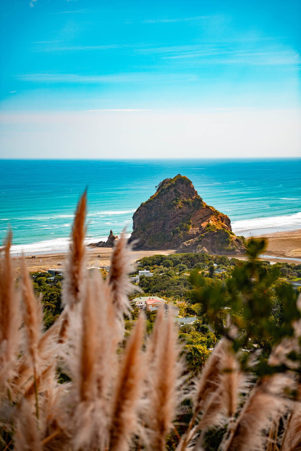 Piha Beach, Auckland, New Zealand