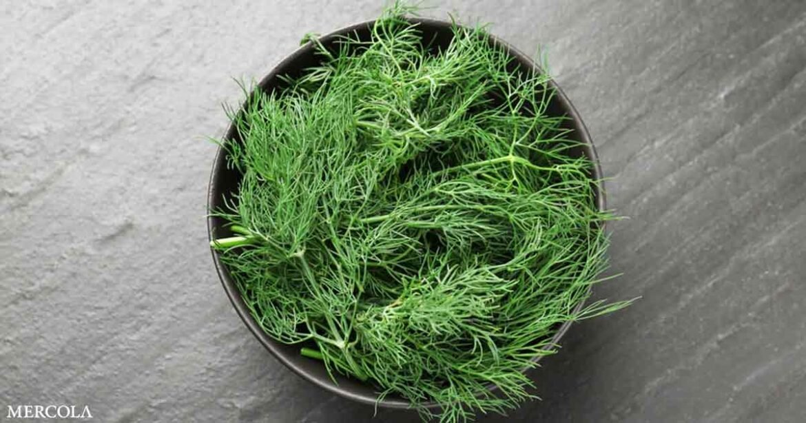 This Savory Herb Helps Relieve Muscle Cramps and Improve Digestion Naturally