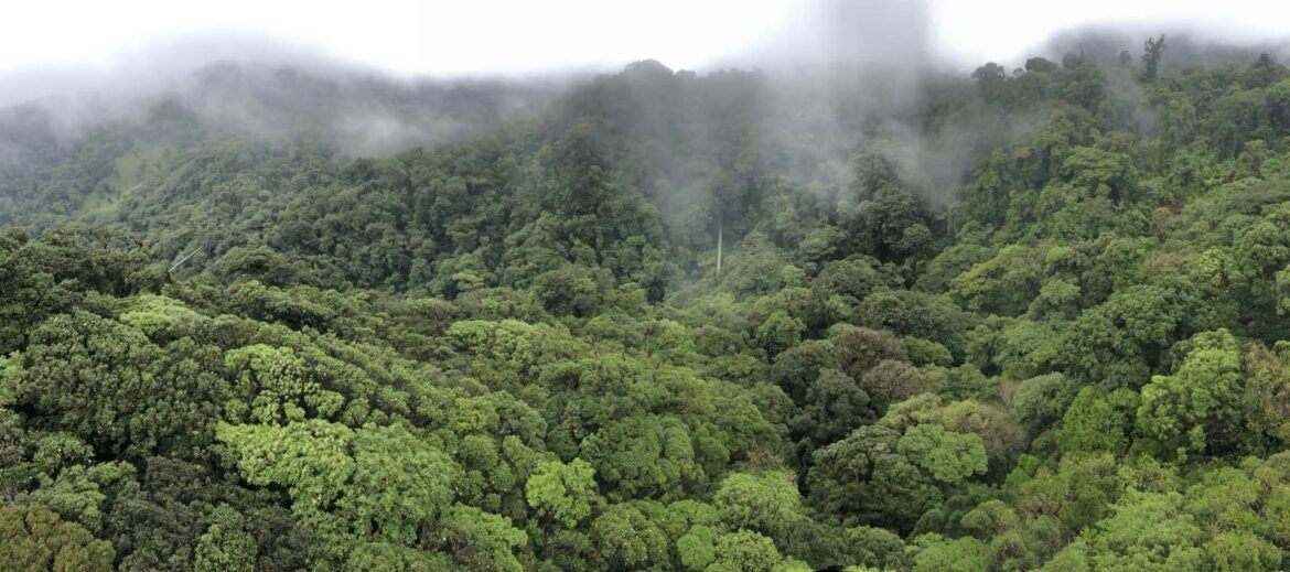 Top Costa Rica Travel Mistakes for First-Time Visitors (& How to Avoid Them)