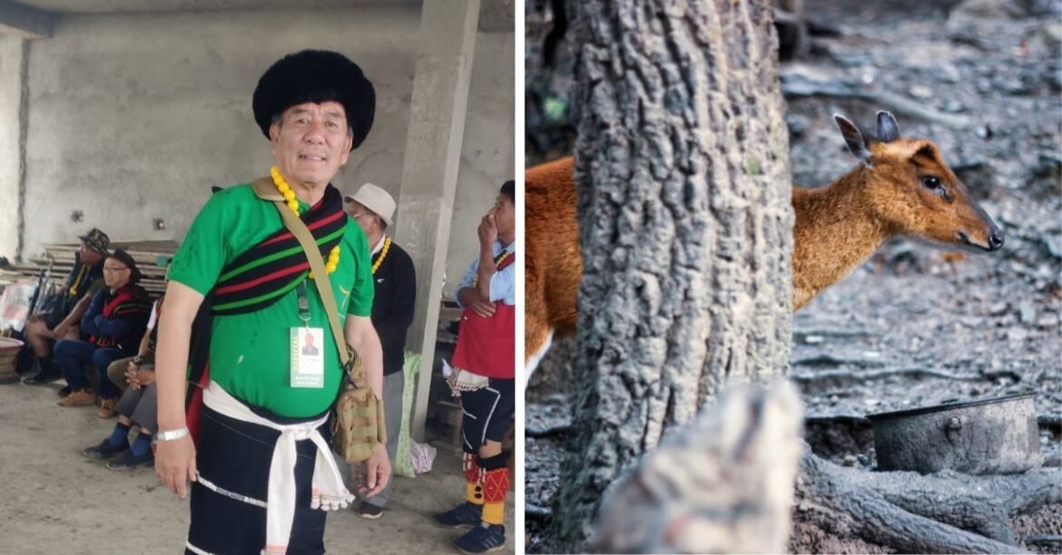 64-YO Hunter-Turned-Saviour Saves 60+ Species of Rare Birds & Animals