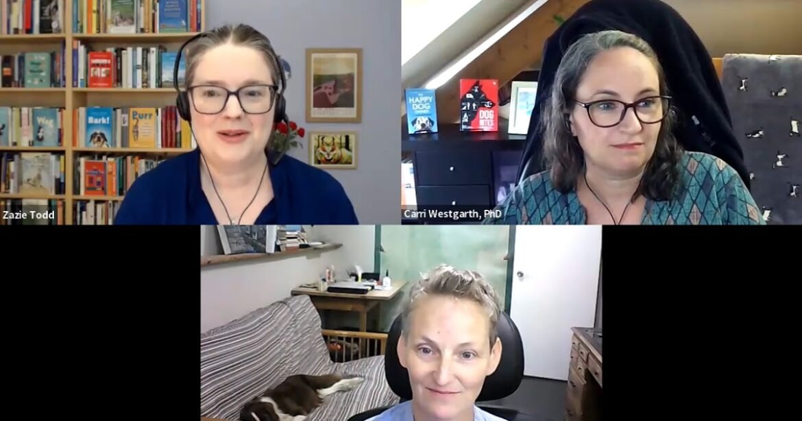 Ask Me Anything with Prof. Carri Westgarth