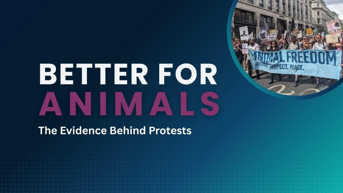 Better for Animals: The Evidence Behind Protests