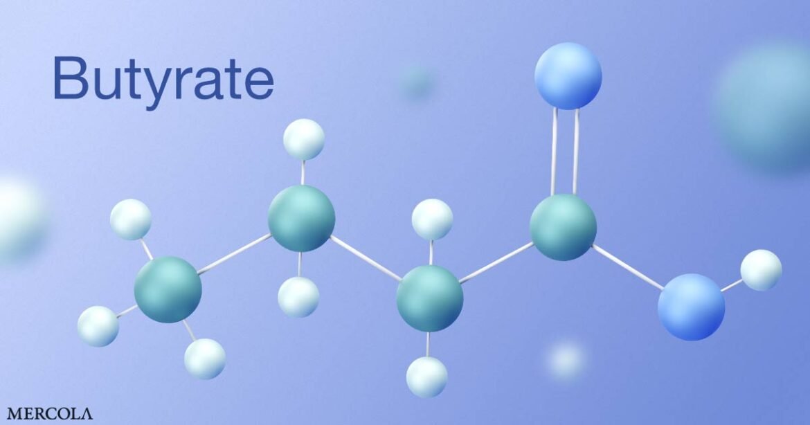 Butyrate's Impact on Your Immune System