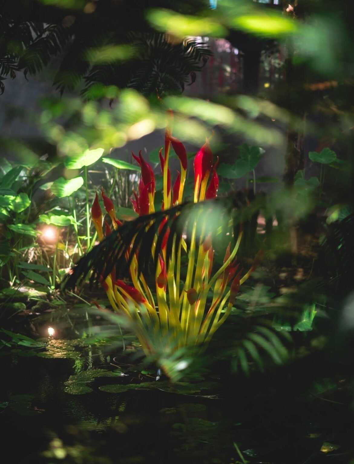 Dale Chihuly In Full Colour and at Night, Adelaide Botanic Gardens
