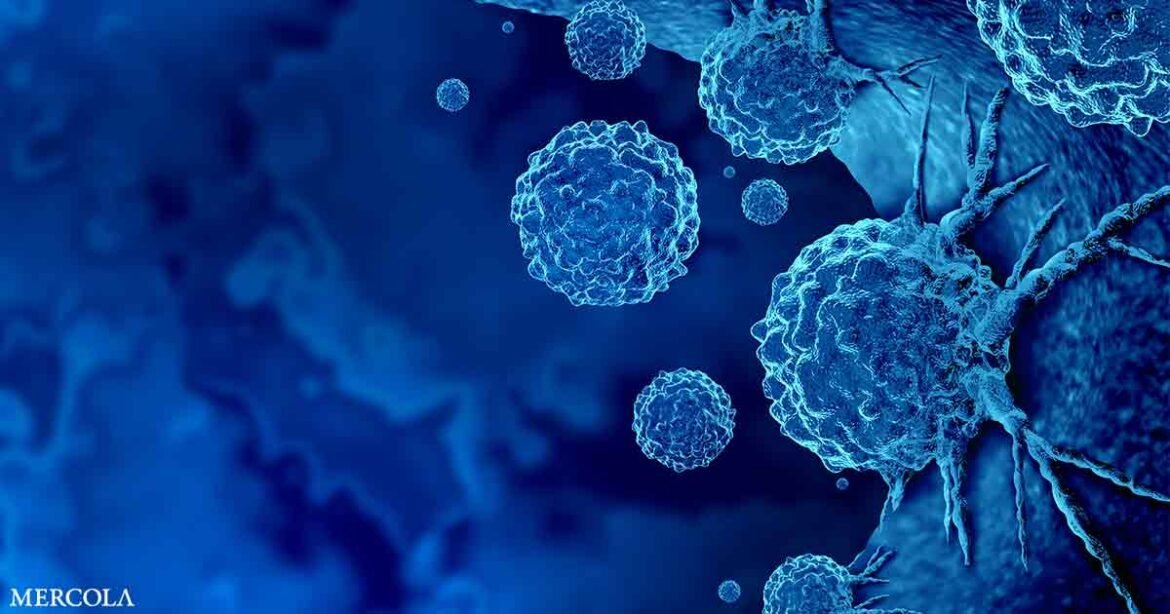 How Metabolic Health and Inflammation Influence Cancer Risk