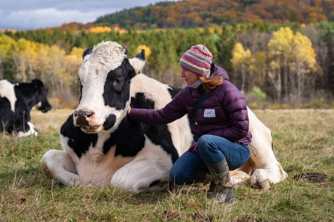 The Biggest Moments of 2025 at Farm Sanctuary