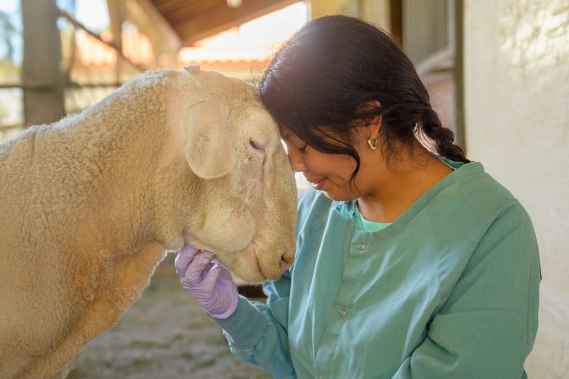 The Six Most Inspiring Farm Animal Stories of 2025