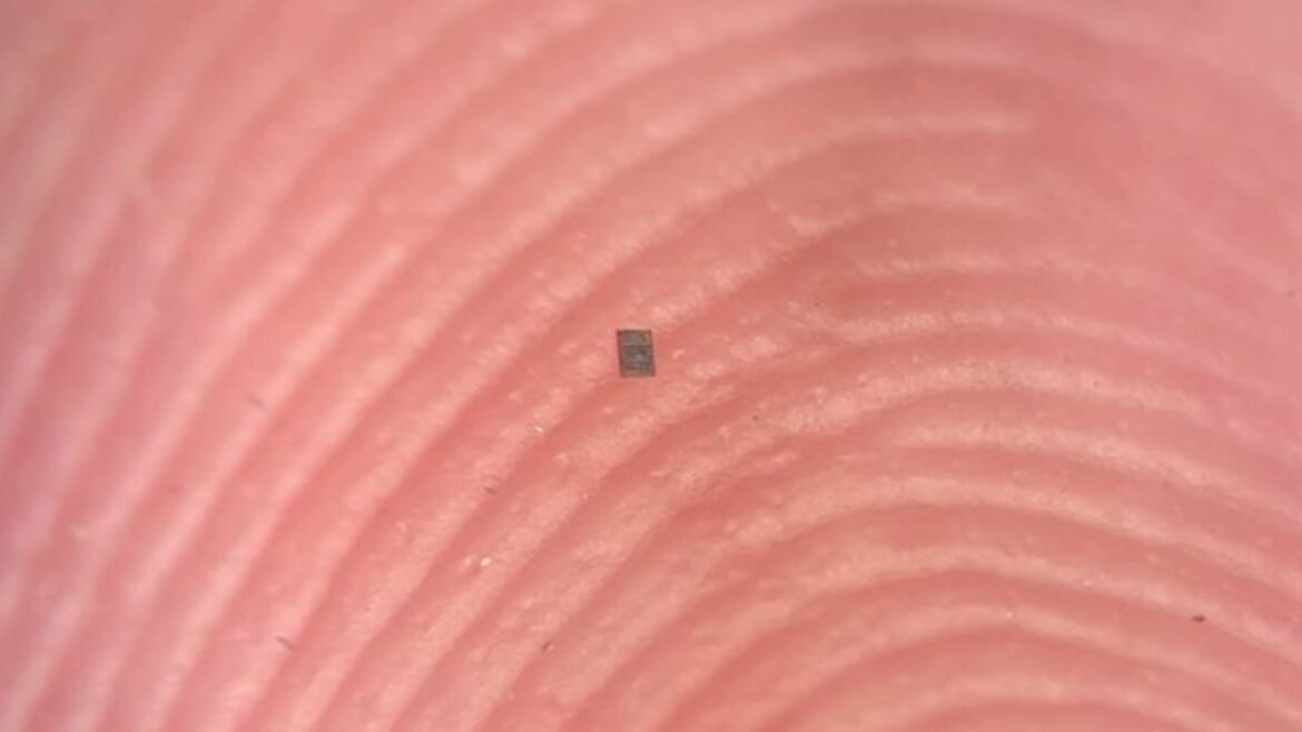 The World's Smallest Programmable Robot Can Barely Be Seen : ScienceAlert