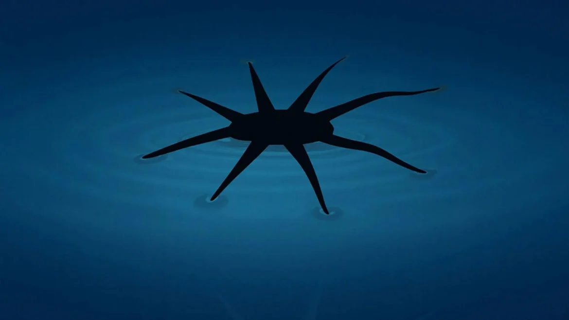 These little robots literally walk on water