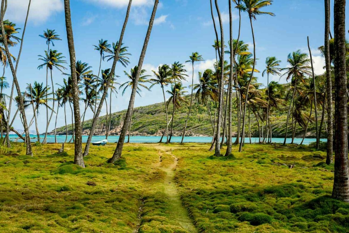 This Caribbean Island Chain Has Black-sand Beaches and an All-inclusive Resort With Overwater Bungalows